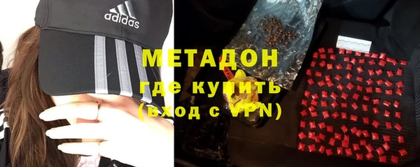 индика Алексин