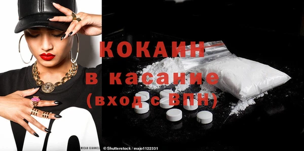 индика Алексин