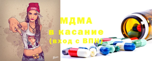 индика Алексин