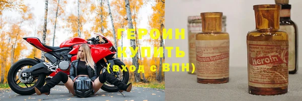 индика Алексин